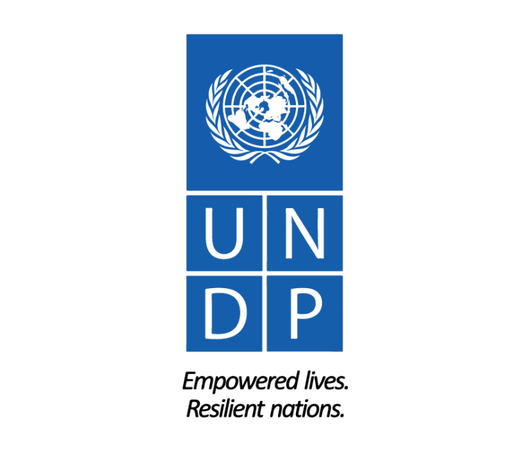 UNDP-01-768x657